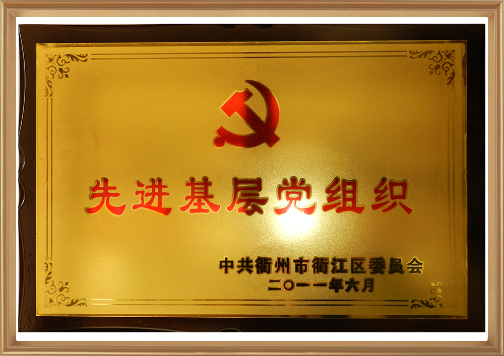 2011年06月先进下层党组织_d.jpg